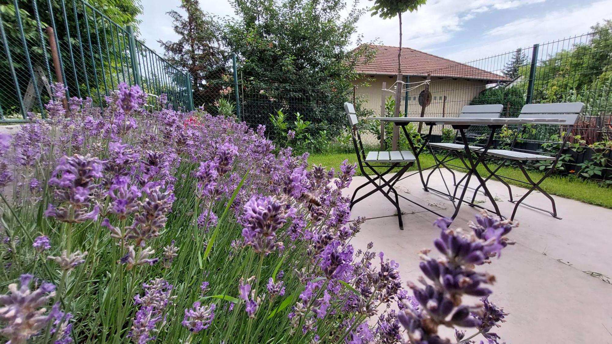 Miniszilva Apartman Balatonalmádi Exteriér fotografie